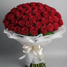 Букет 101 Красная роза Блэк Мэджик в Сельцо Ленинградская область