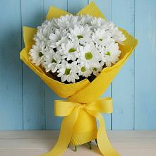 Букет цветов из:  Хризантемы в Сельцо Ленинградская область