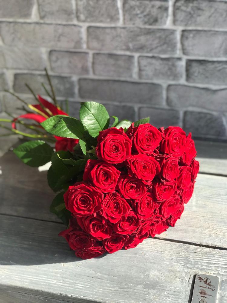 Букет Красные розы Фридом в Сельцо Ленинградская область