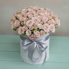 Цветочная композиция из Розы в шляпной коробке #REPLACE_PRED# Сельцо Ленинградская область