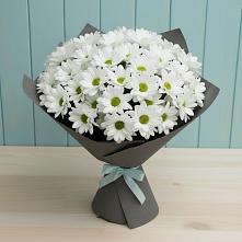 Букет цветов из:  Хризантемы в Сельцо Ленинградская область