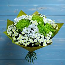 Букет цветов из:  Хризантемы в Сельцо Ленинградская область