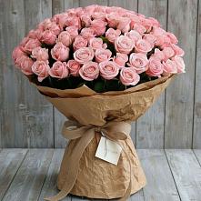 Букет 151 Роза Роуз #REPLACE_PRED# Сельцо Ленинградская область