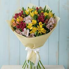 Букет цветов из:  Альстромерии в Сельцо Ленинградская область