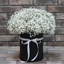 Цветочная композиция из Гипсофила в шляпной коробке в Сельцо Ленинградская область