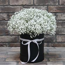 Цветочная композиция из Гипсофила в шляпной коробке в Сельцо Ленинградская область